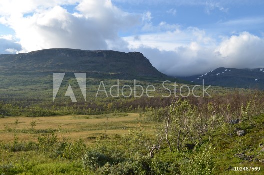 Bild på View on subarctic tundra and beech forest in Swedish Lapland